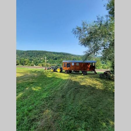 Autarkes Tiny House Mit Rheinblick Apartment Rumikon Екстериор снимка