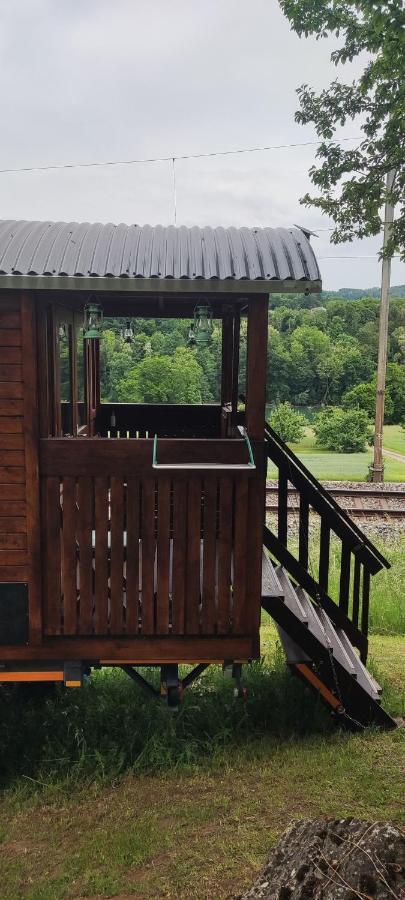 Autarkes Tiny House Mit Rheinblick Apartment Rumikon Екстериор снимка